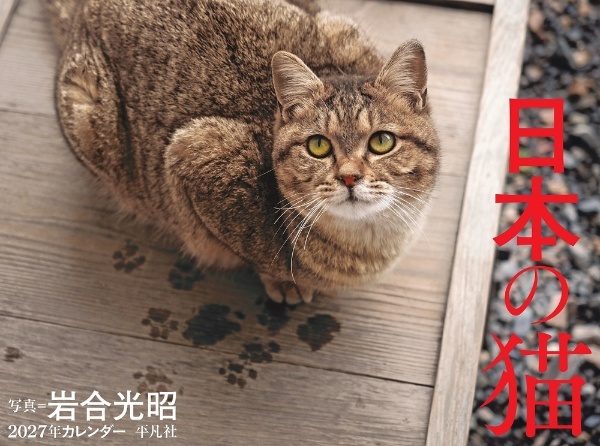 2027年カレンダー 日本の猫