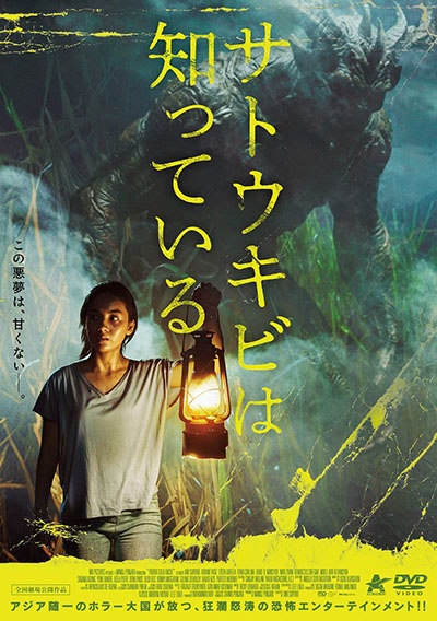 サトウキビは知っている