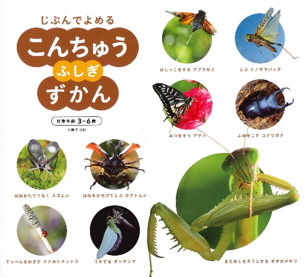 こんちゅう ふしぎずかん