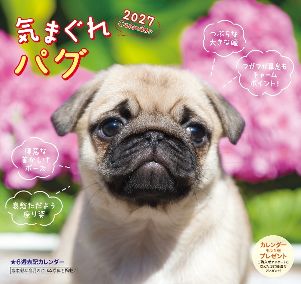 気まぐれ パグカレンダー 2027
