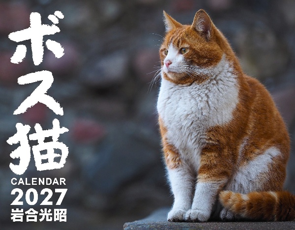 岩合光昭開運福猫カレンダー 2027/岩合光昭 - 販売書籍｜TSUTAYA