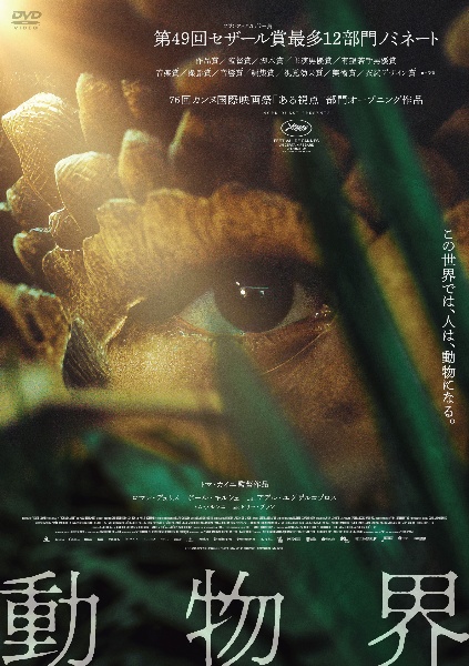 動物界