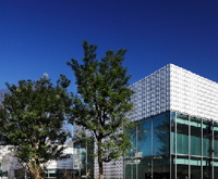 代官山 蔦屋書店